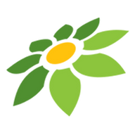 WINK APK MOD